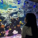 이서영