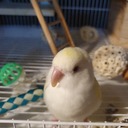 백지원