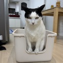 혜지