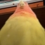 문정찬