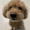 장숙경