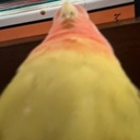 문정찬